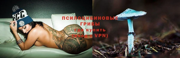 твердый Верея
